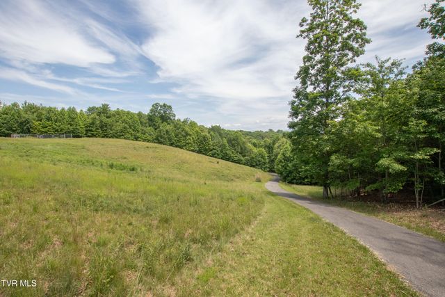 11106 Tree Top Drive, Meadowview, VA 24361