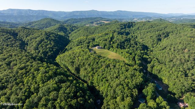 11106 Tree Top Drive, Meadowview, VA 24361