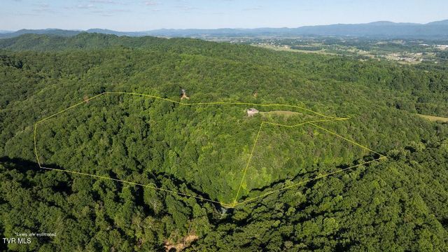 11106 Tree Top Drive, Meadowview, VA 24361