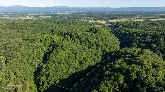 11106 Tree Top Drive, Meadowview, VA 24361