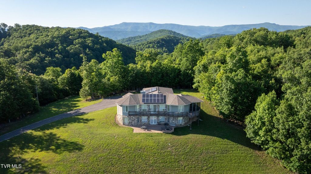 11106 Tree Top Drive, Meadowview, VA 24361