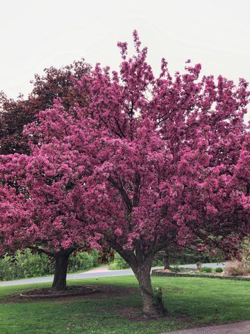 1550 Oldridge Avenue N, Stillwater, MN 55082