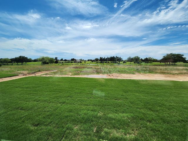 373 Willie's Court, Whitesboro, TX 76273