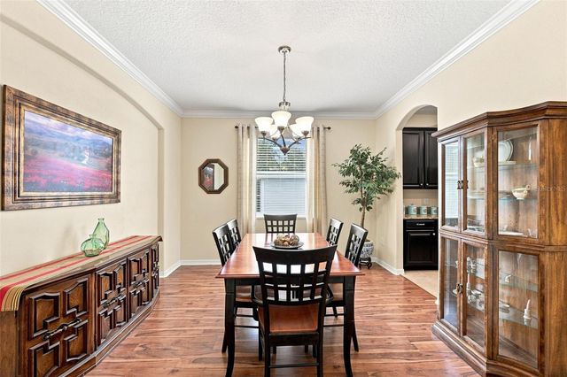 12335 BALLENTRAE FOREST DRIVE, Riverview, FL 33579