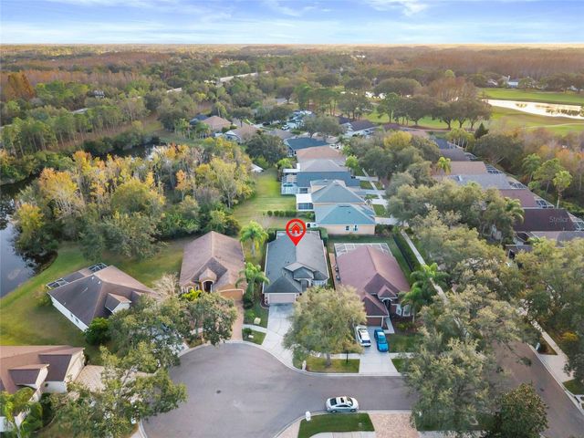 6006 CHELLAS COURT, Lutz, FL 33558