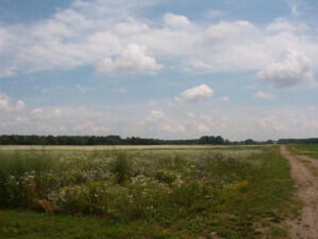 2152 17 Mile Road, Kent City, MI 49330