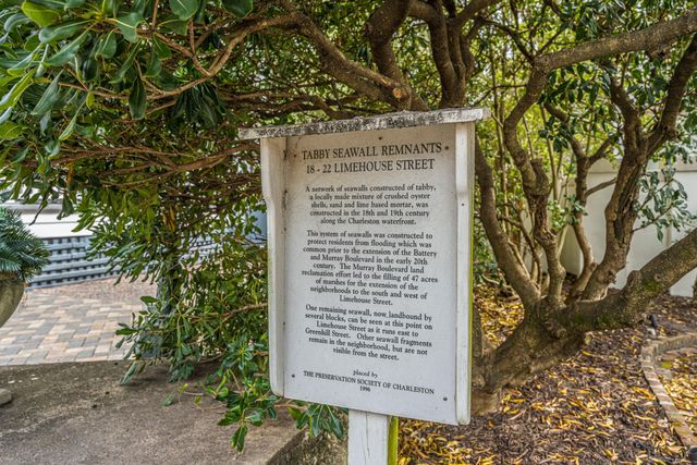 20 Limehouse Street D, Charleston, SC 29401