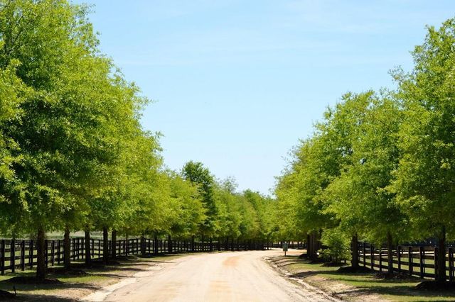 891 Lauren Circle, Aiken, SC 29805