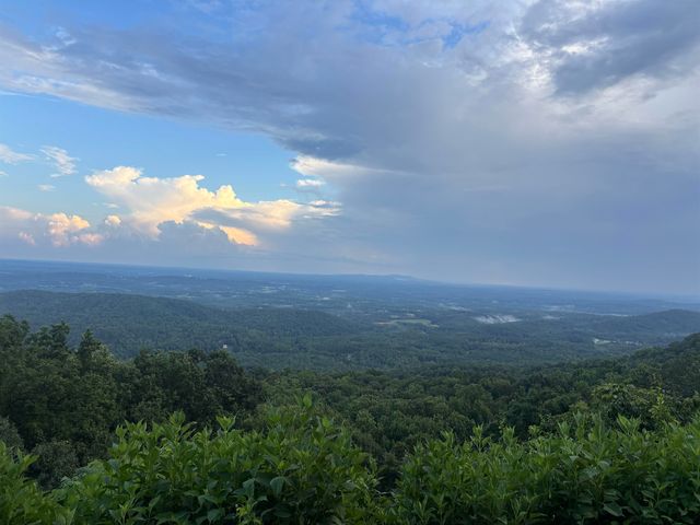3 Rustic Court, Landrum, SC 29356