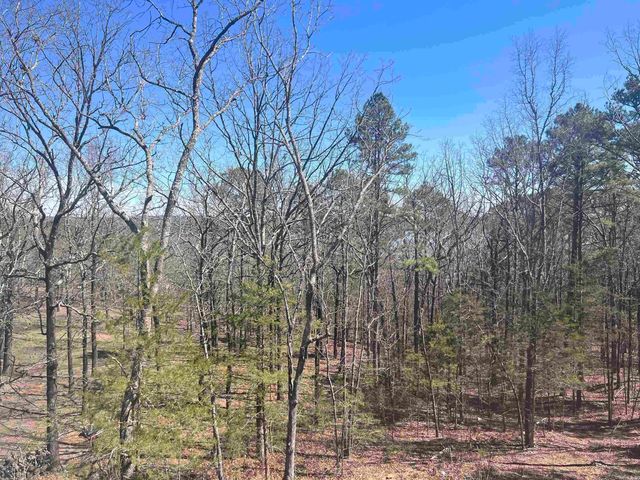 660 Mill Creek Road, Higden, AR 72067