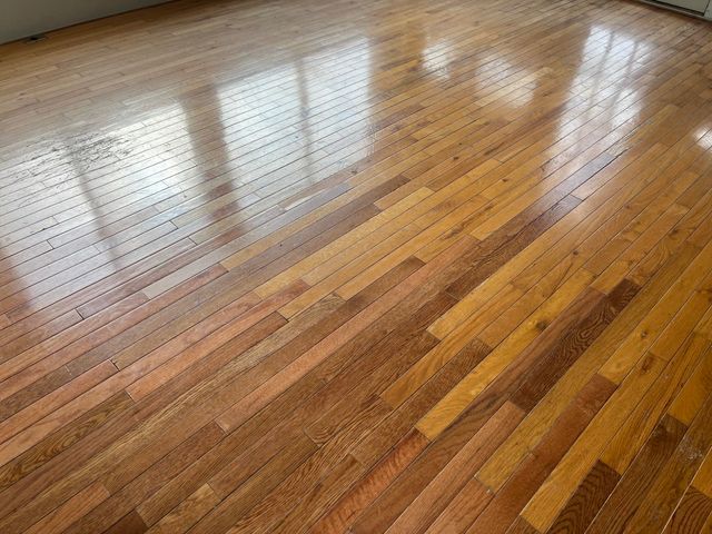 525 Hedgelawn AVE, Roanoke, VA 24019