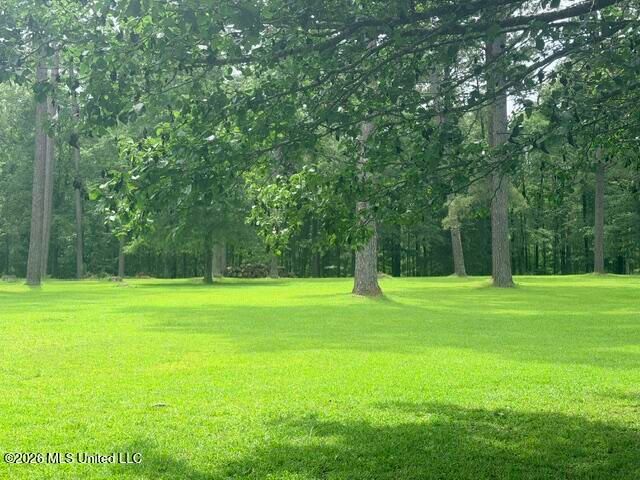 932 White Road, Florence, MS 39073