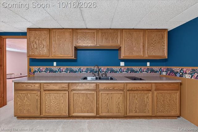 11982 Brandywine Drive, Brighton, MI 48114