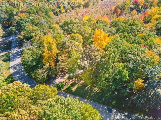 11982 Brandywine Drive, Brighton, MI 48114