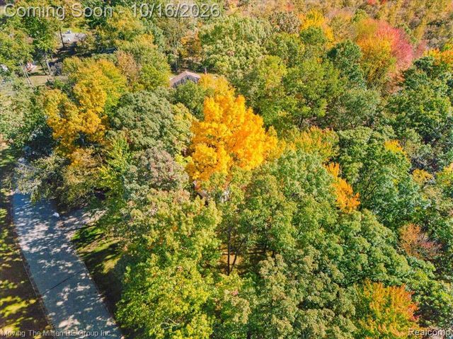 11982 Brandywine Drive, Brighton, MI 48114