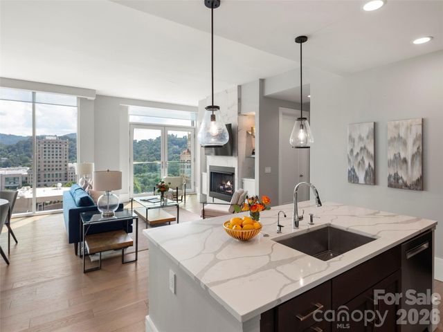 7 Patton Avenue 1104, Asheville, NC 28801