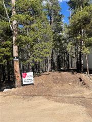 000 Silver Creek Road, Idaho Springs, CO 80452