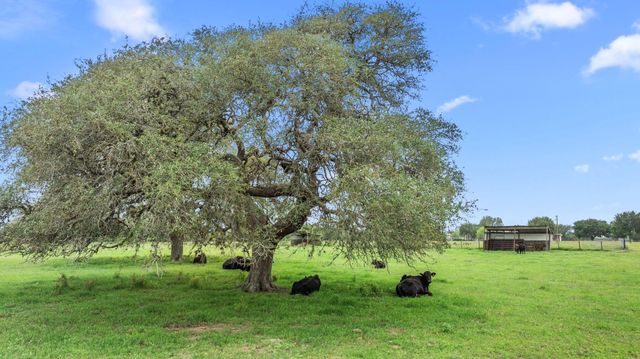1342 Fm 2434, Weimar, TX 78962