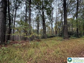424 Mark Lane, Towamensing Twp, PA 18235