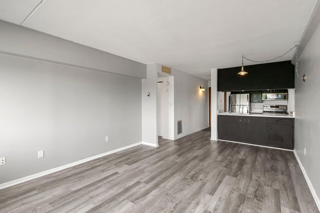 1920 S 1st Street 408, Minneapolis, MN 55454 — photo 4