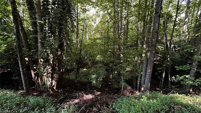 00B Higgins Road, Wilkesboro, NC 28697