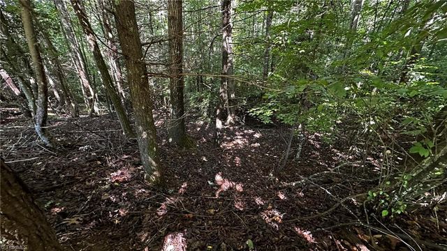 00B Higgins Road, Wilkesboro, NC 28697