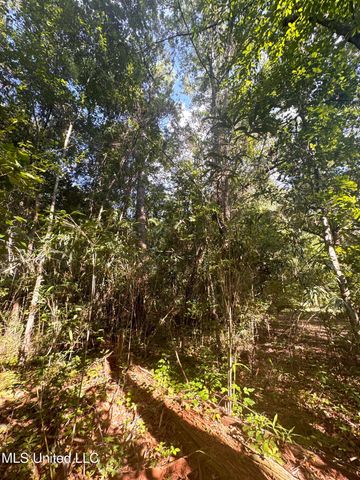 12 Zettel Road, Ocean Springs, MS 39564