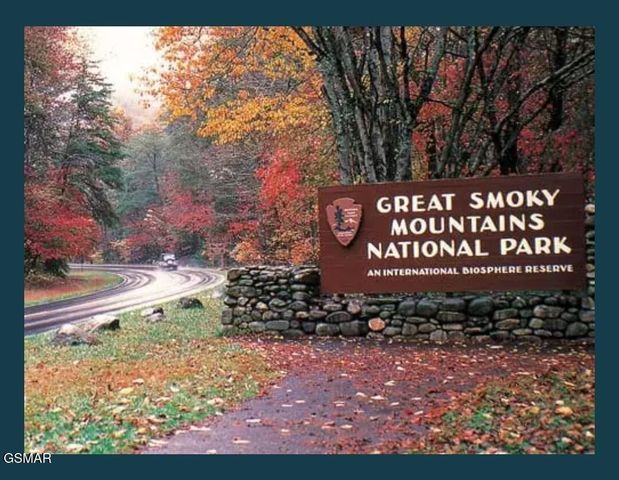 335 Greenwood Way, Pigeon Forge, TN 37863