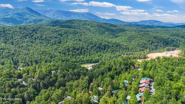 1642 Misty Hollow Way, Gatlinburg, TN 37738
