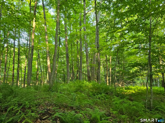 125 & 180 Coop Sawmill Road, Manchester, CT 06040
