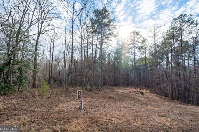 0 Freestone Street, Talking Rock, GA 30175