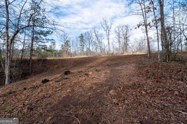 0 Freestone Street, Talking Rock, GA 30175