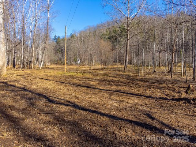 Lt 1,2,3 Caney Fork Road, Cullowhee, NC 28723
