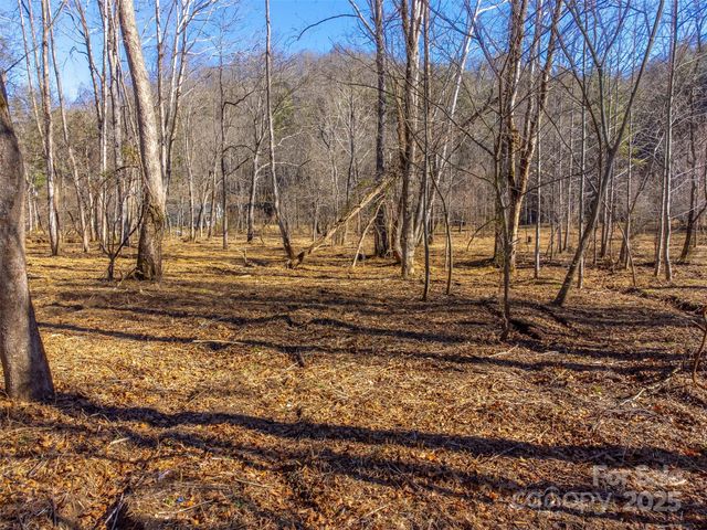 Lt 1,2,3 Caney Fork Road, Cullowhee, NC 28723