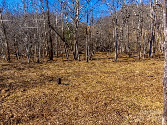 Lt 1,2,3 Caney Fork Road, Cullowhee, NC 28723