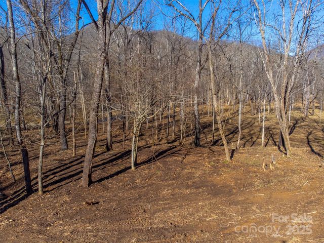 Lt 1,2,3 Caney Fork Road, Cullowhee, NC 28723