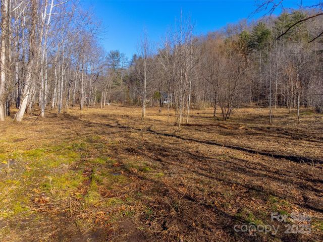 Lt 1,2,3 Caney Fork Road, Cullowhee, NC 28723