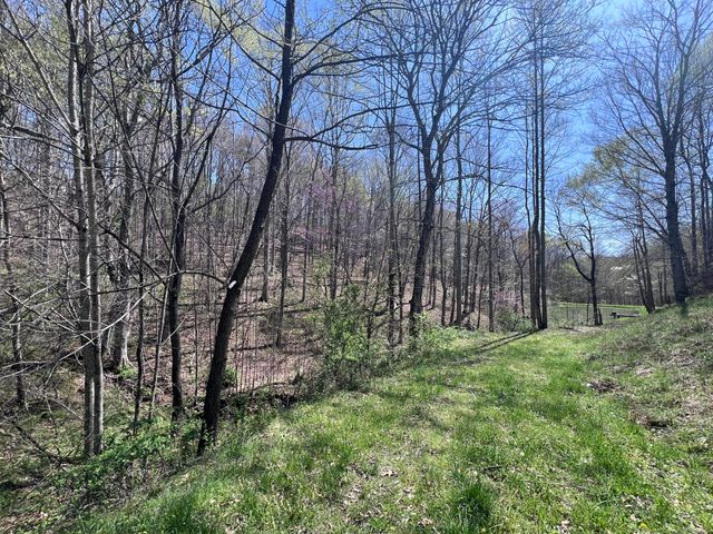 14 Clear Creek Road, Pine Knot, KY 42635