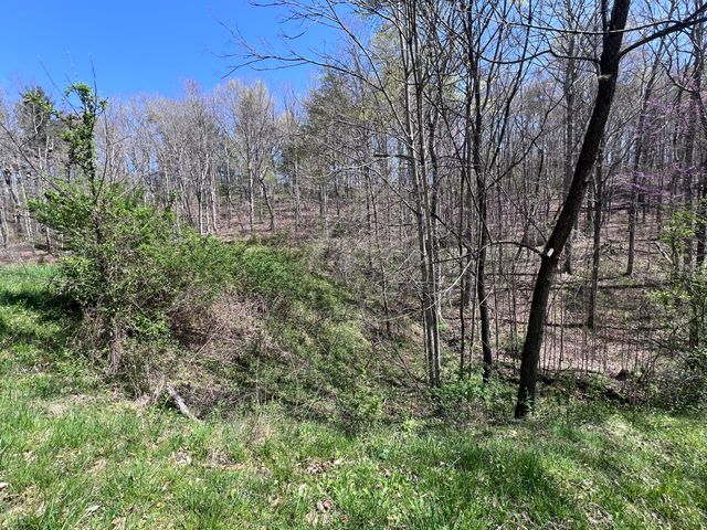 14 Clear Creek Road, Pine Knot, KY 42635