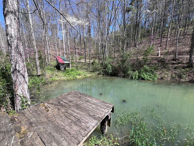 14 Clear Creek Road, Pine Knot, KY 42635