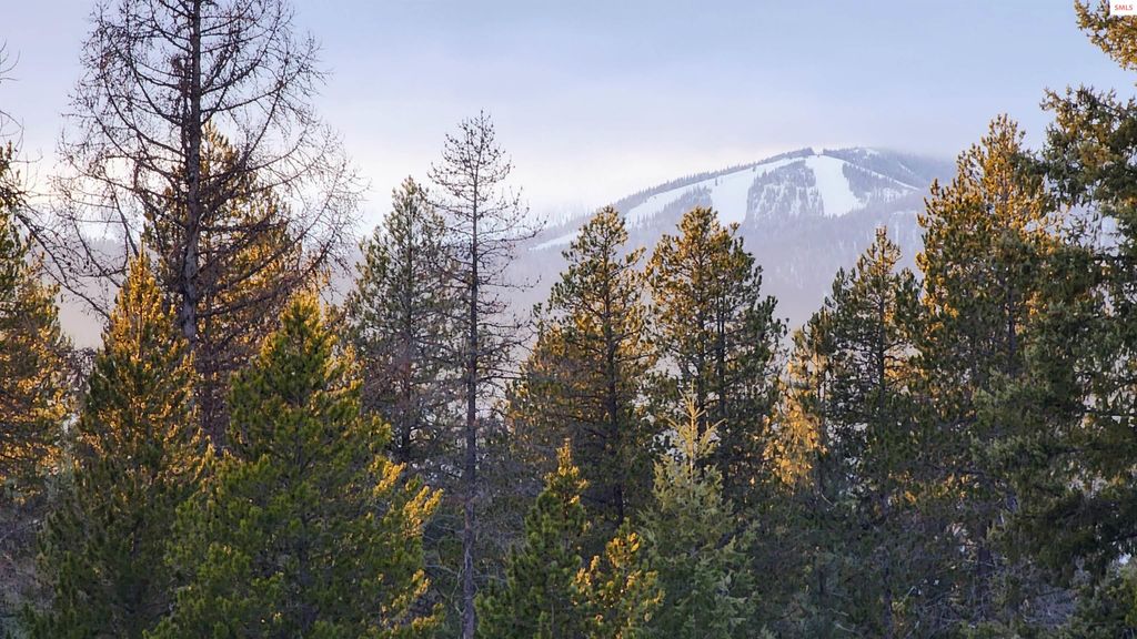 672 Hopkins Rd, Sandpoint, ID 83864 photo 4