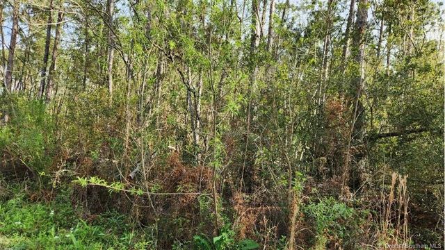 0 Olsen Road, Sulphur, LA 70665