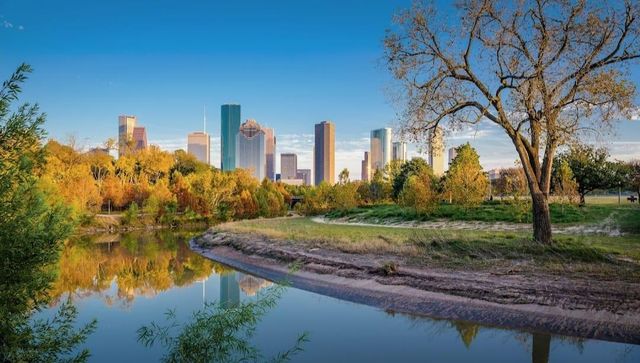 1107 Wilson St, Houston, TX 77019