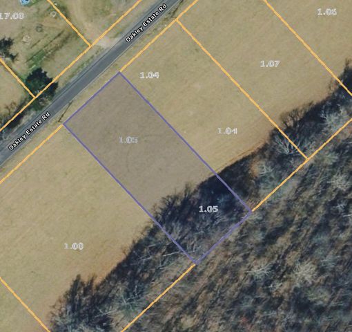 123 Oakley Estates Road, Allons, TN 38541