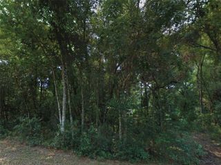 10534 E WAXWING LANE, Floral City, FL 34436