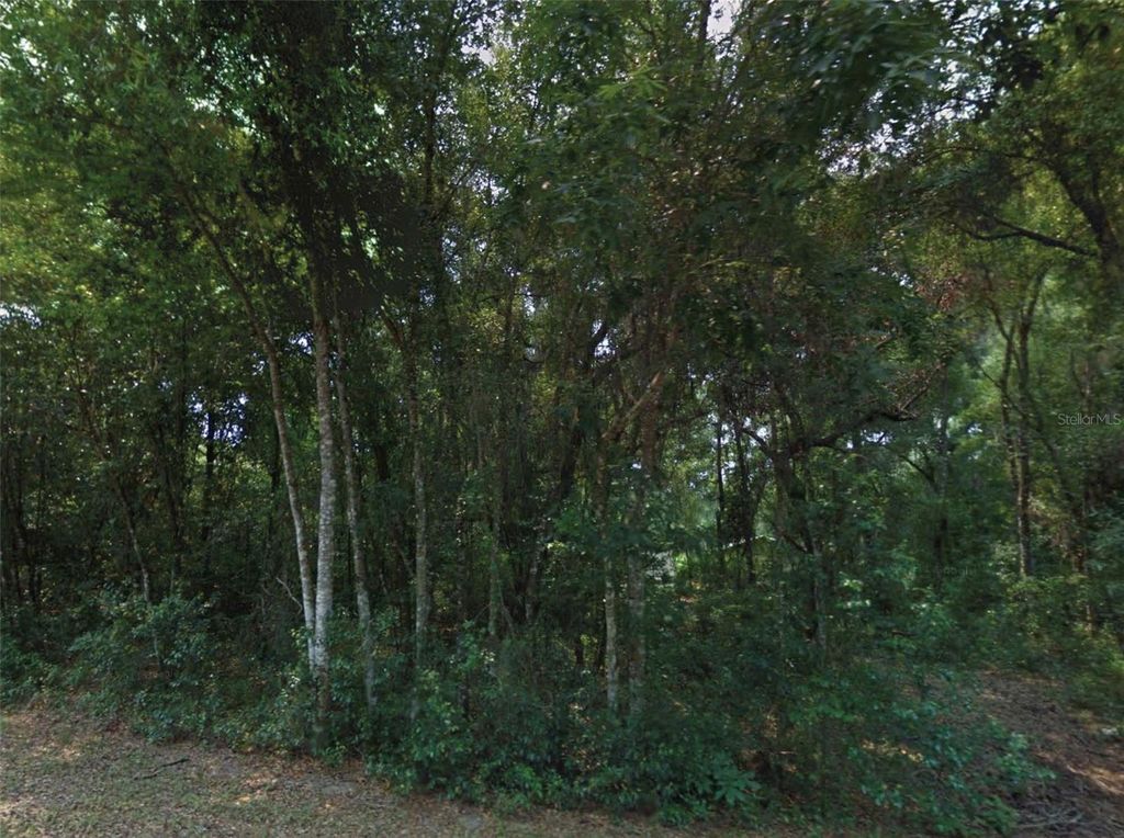 10534 E WAXWING LANE, Floral City, FL 34436