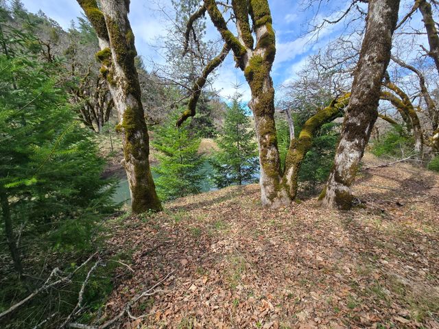 705 Bigfoot Path Road, Kettenpom, CA 95595