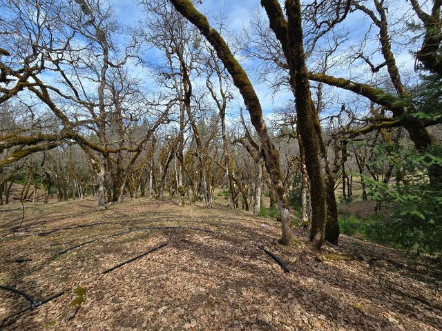 705 Bigfoot Path Road, Kettenpom, CA 95595