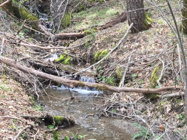 705 Bigfoot Path Road, Kettenpom, CA 95595