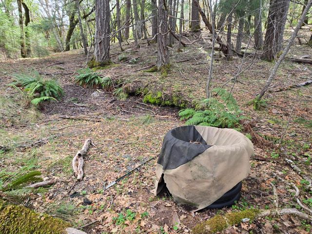 705 Bigfoot Path Road, Kettenpom, CA 95595